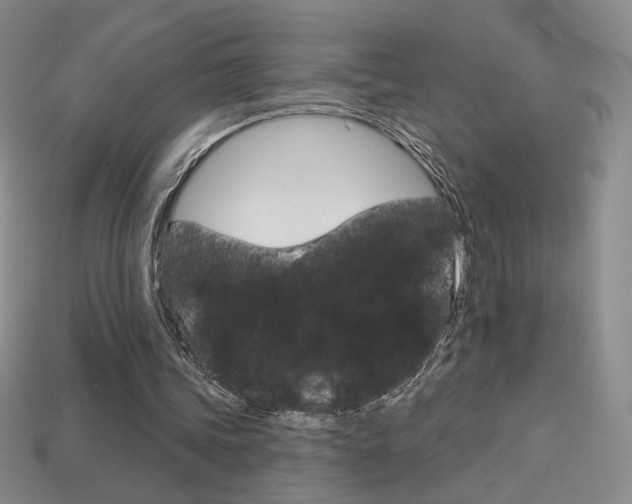 X0000114200339200910091053