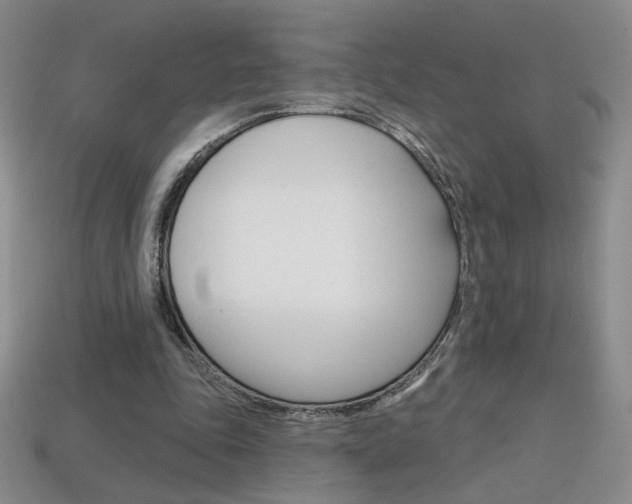 X0000114200343200910091053