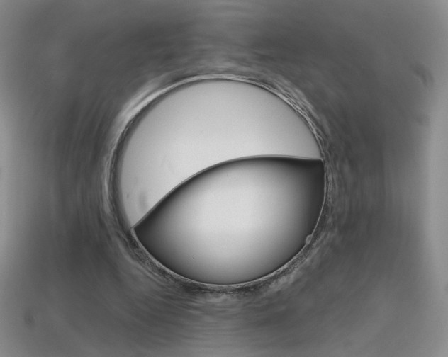 X0000114200344200910091053