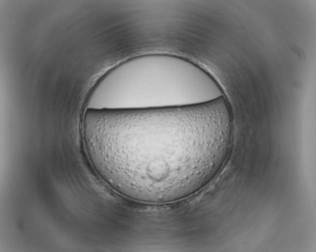 X0000114200345200910091053