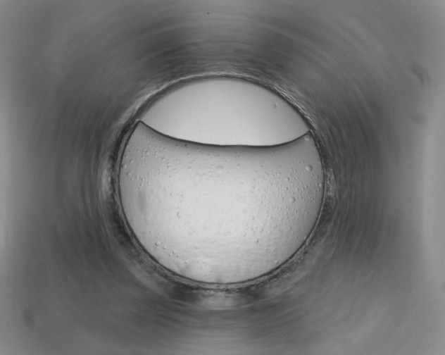 X0000114200347200910091053