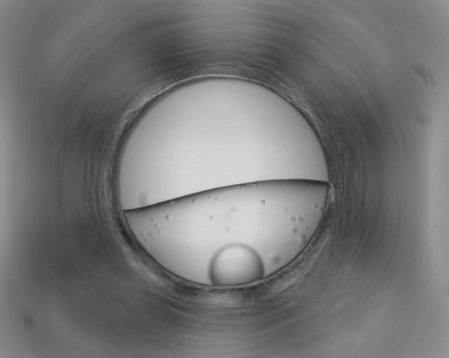 X0000114200349200910091053