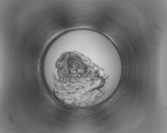 X0000114200350200910091053