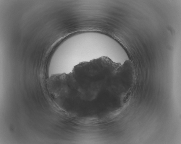X0000114200351200910091053