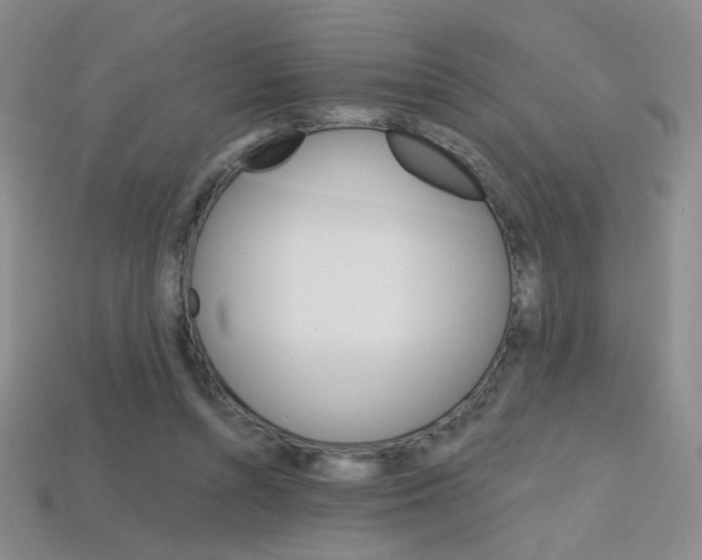 X0000114200352200910091053