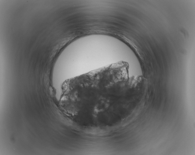 X0000114200353200910091053