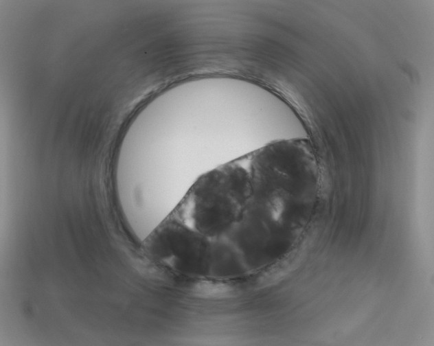 X0000114200354200910091053