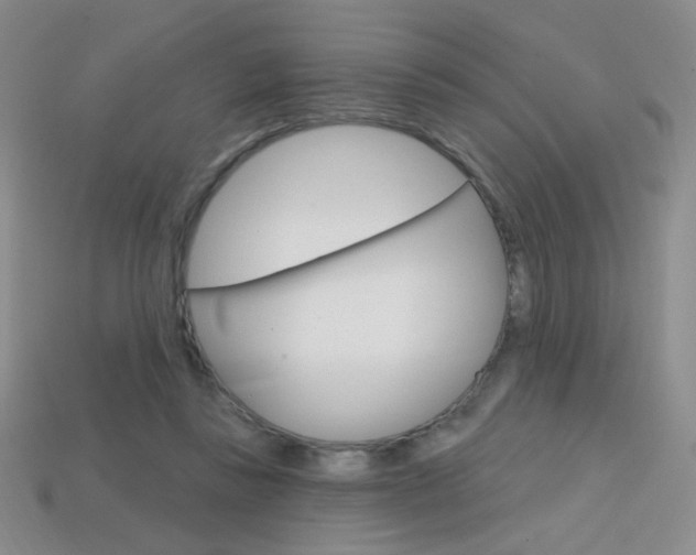 X0000114200355200910091053