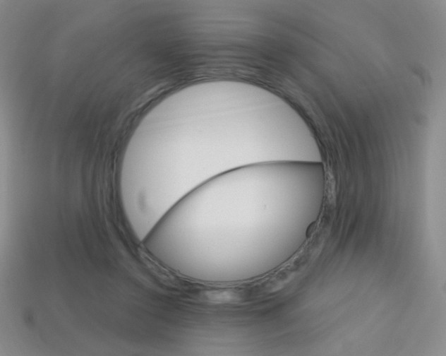 X0000114200356200910091053