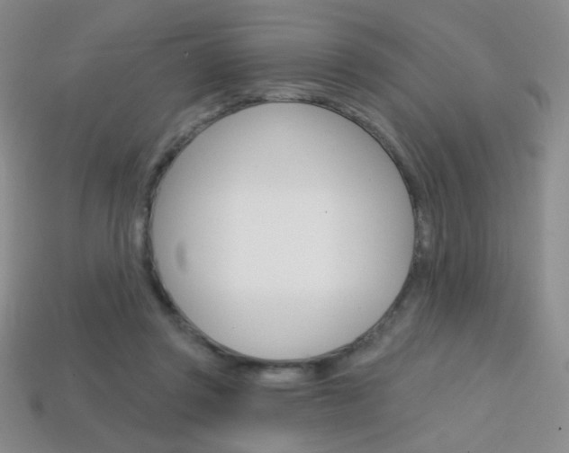 X0000114200357200910091053