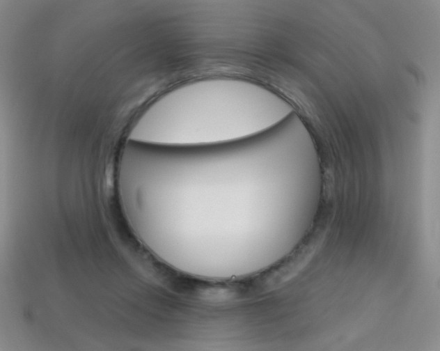 X0000114200358200910091053