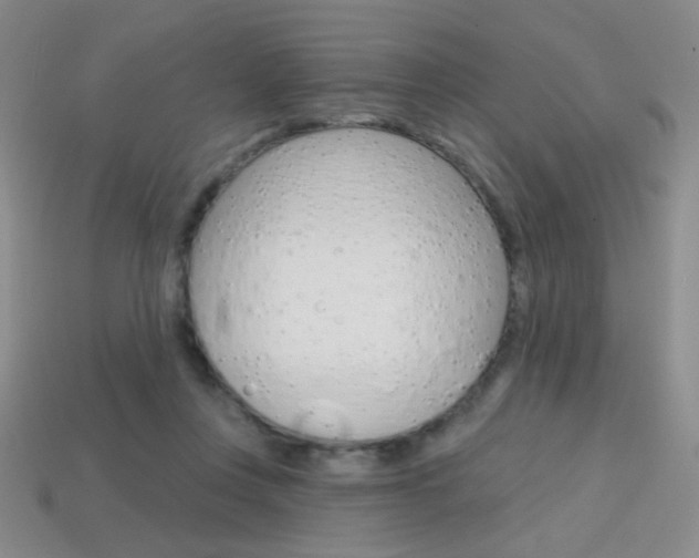 X0000114200359200910091053