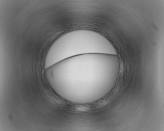 X0000114200360200910091053