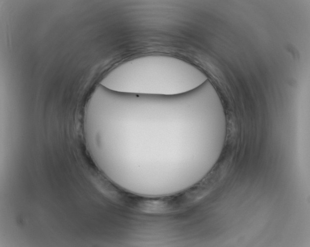 X0000114200361200910091053
