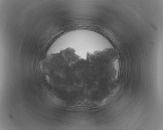 X0000114200363200910091053