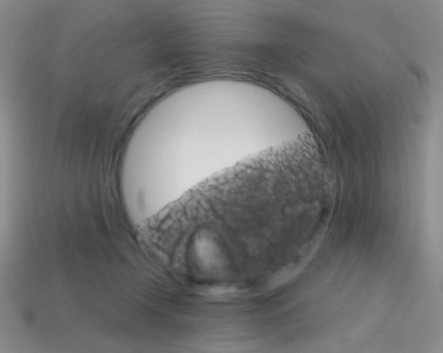 X0000114200366200910091053