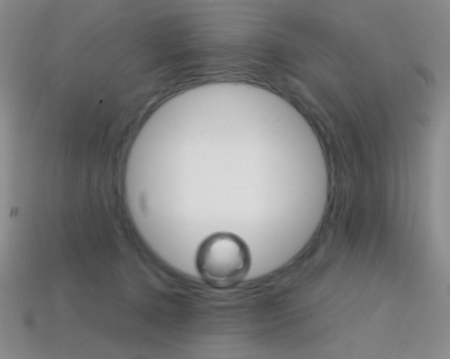 X0000114200368200910091053