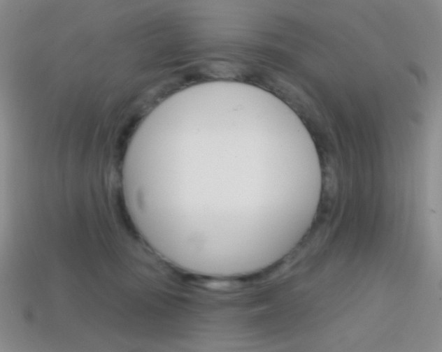 X0000114200371200910091053