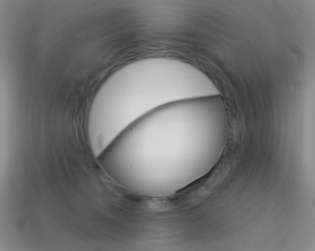 X0000114200372200910091053