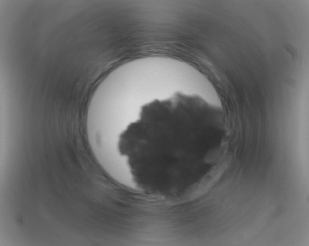 X0000114200374200910091053