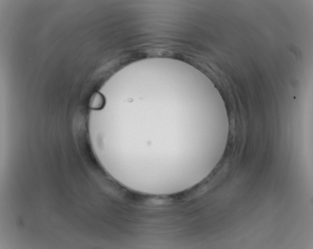 X0000114200375200910091053