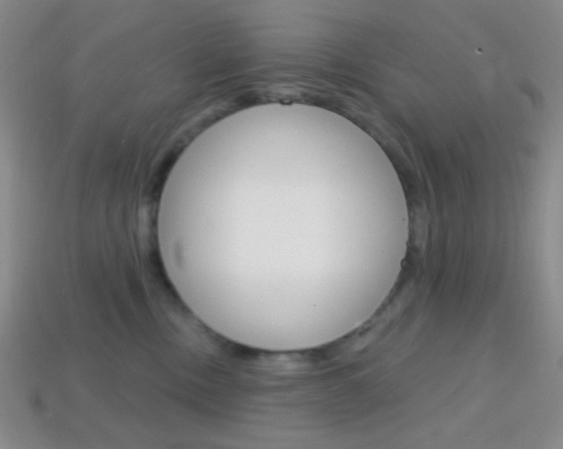 X0000114200378200910091053