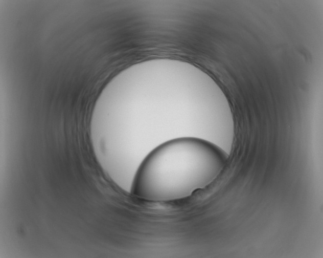 X0000114200380200910091053