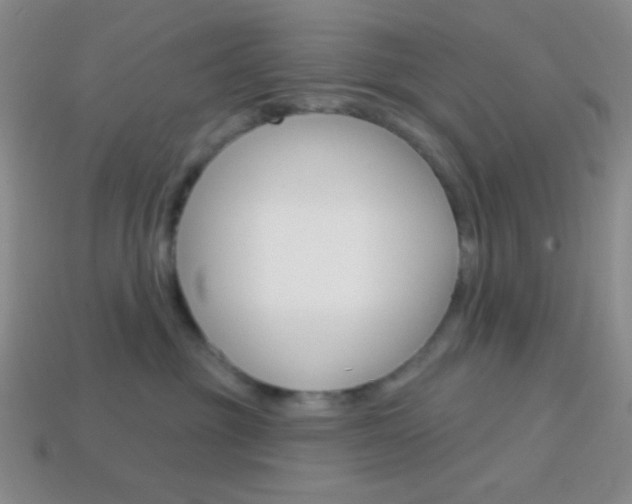 X0000114200381200910091053