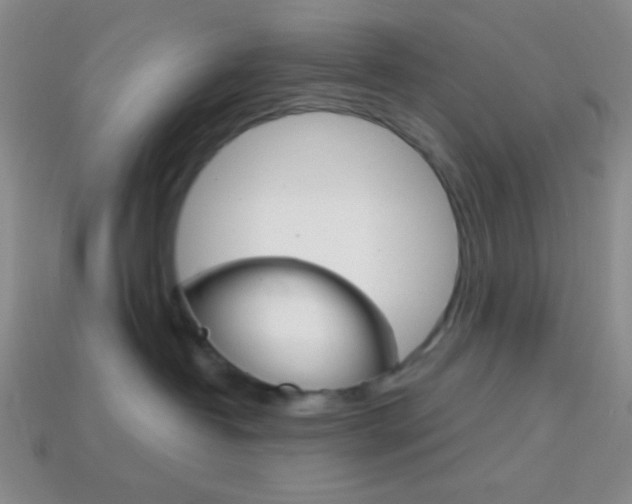 X0000114200382200910091053