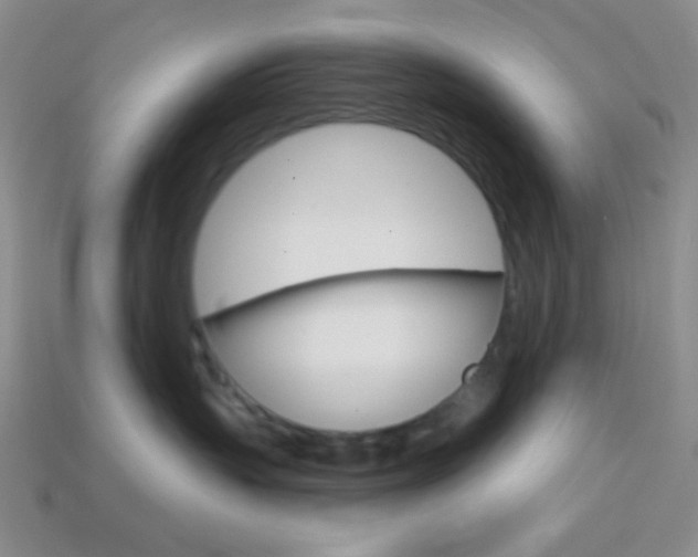 X0000114200383200910091053