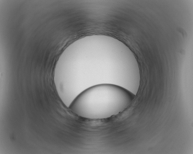 X0000114200384200910091053