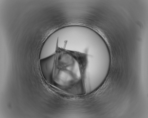 X0000114200385200910091053