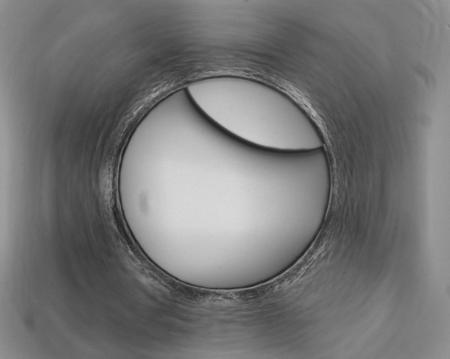 X0000114200386200910091053