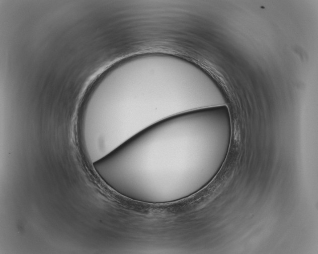 X0000114200388200910091053
