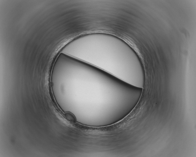 X0000114200389200910091053