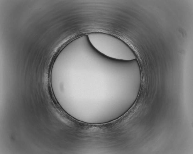 X0000114200390200910091053