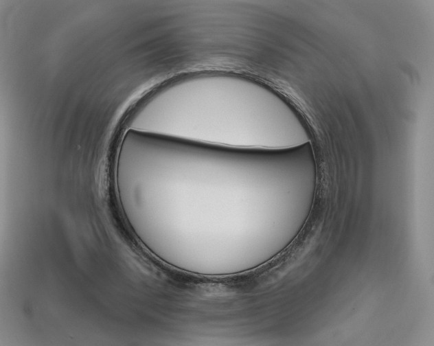 X0000114200392200910091053