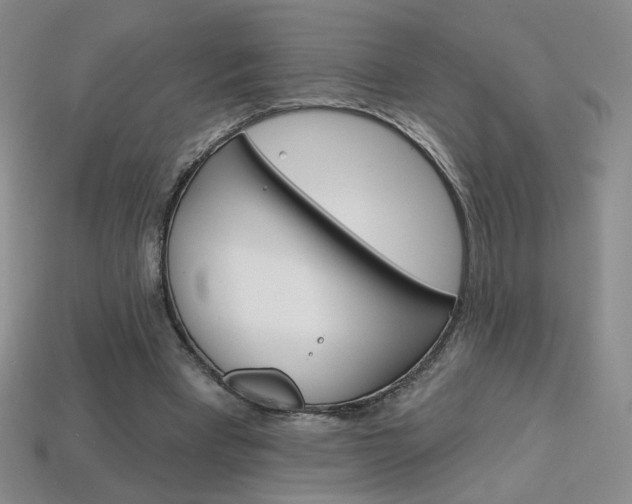 X0000114200393200910091053