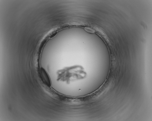 X0000114200395200910091053