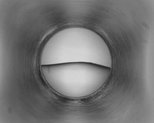 X0000114200396200910091053