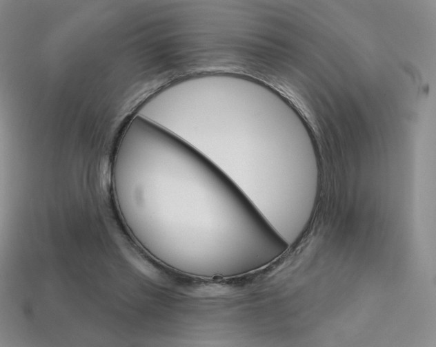 X0000114200397200910091053