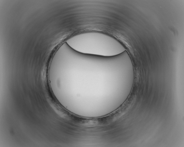 X0000114200398200910091053