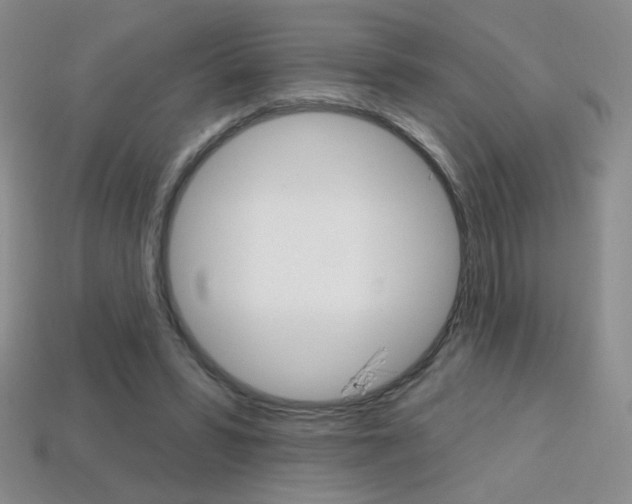 X0000114200399200910091052