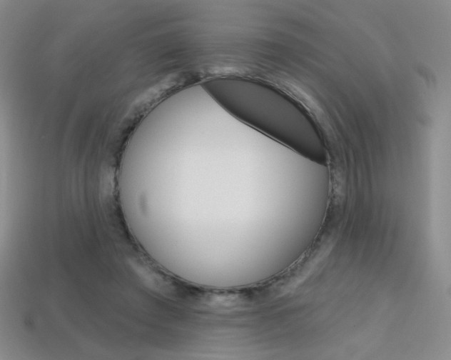 X0000114200401200910091052