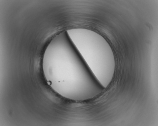 X0000114200404200910091052
