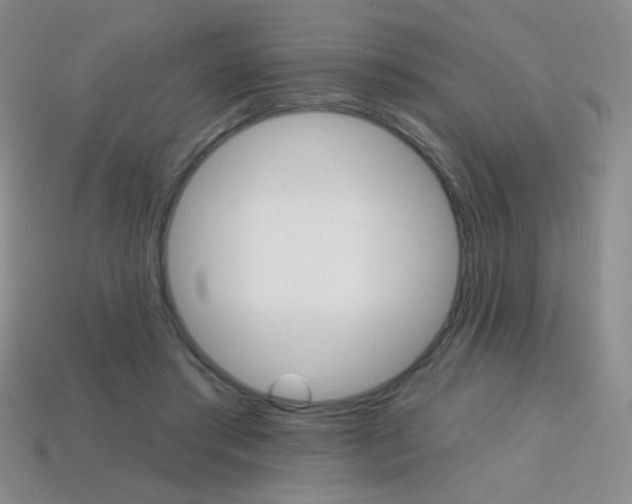 X0000114200405200910091052
