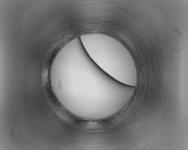 X0000114200406200910091052
