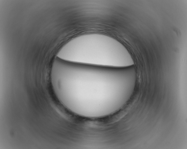 X0000114200408200910091052