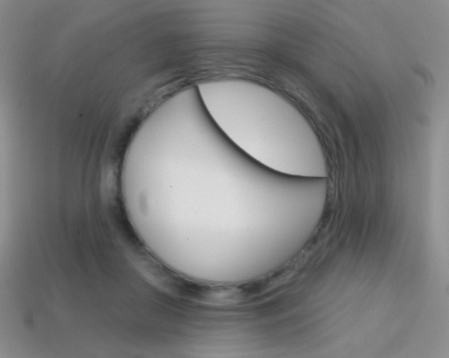 X0000114200410200910091052