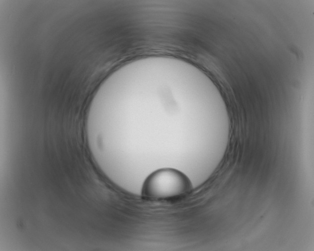 X0000114200415200910091052